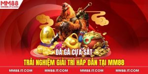 Đá gà cựa sắt mm88